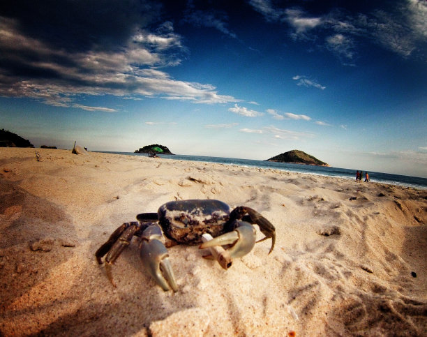 有火吗?图片下载