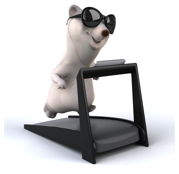 有趣的熊图片下载