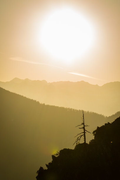 瑞士阿尔卑斯山树剪影图片下载