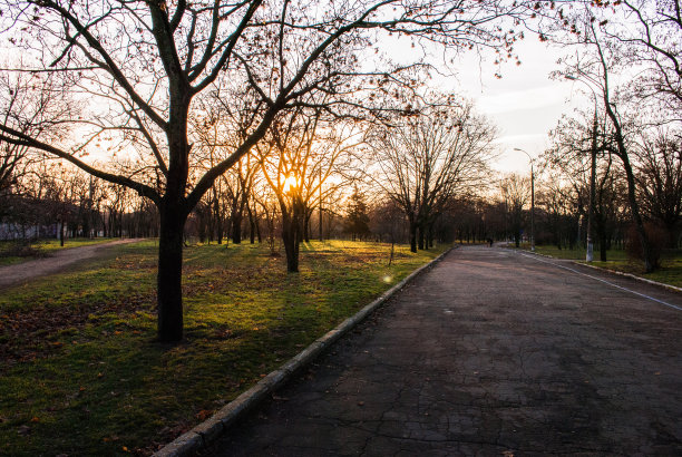 公园里的秋天图片下载
