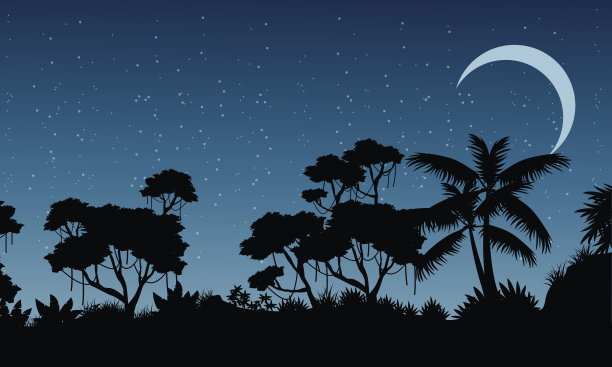 热带雨林夜景图片下载