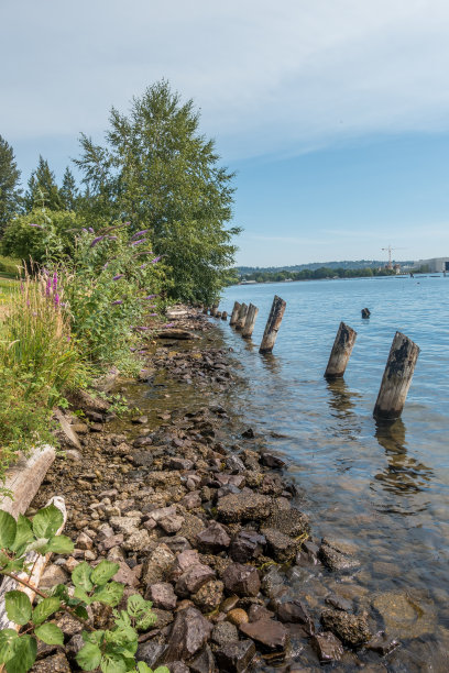 Coulon公园的海岸线图片下载