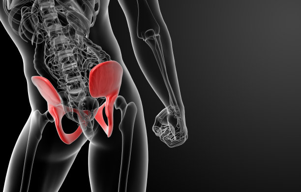 在x光下3d渲染骨盆图片下载