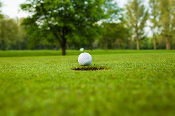 球道上的高尔夫球图片下载