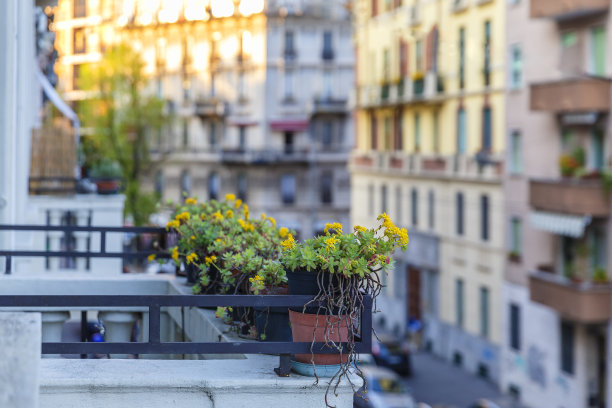 日落时分阳台上的花坛素材图片