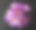 藏红花图片素材ID：165166204