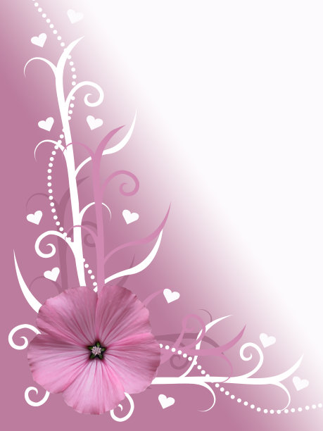 粉色和白色情人卡花设计背景心插图图片下载