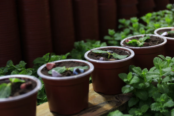 Gulangyu岛图片下载