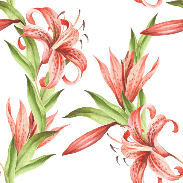 无缝图案与虎百合。手绘水彩插图。素材图片