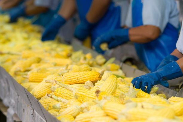 玉米加工厂，食品工业图片下载