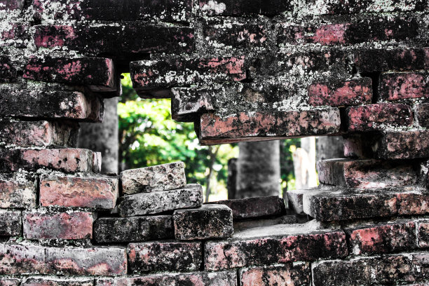 洞的新世界图片下载