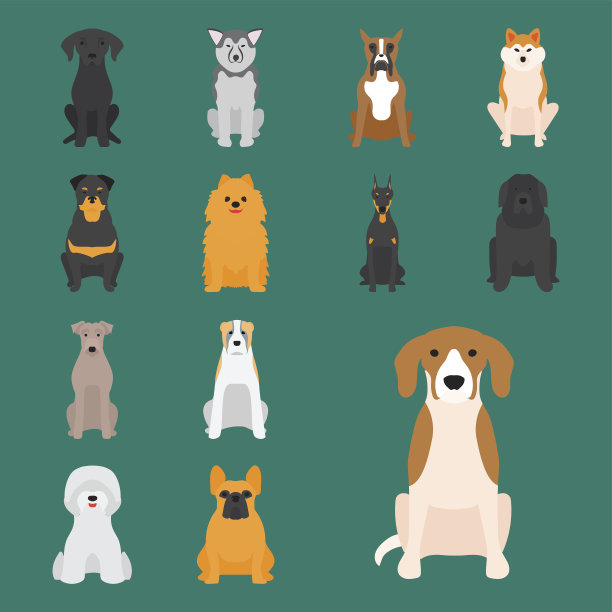 狗狗矢量图素材ID：165225604