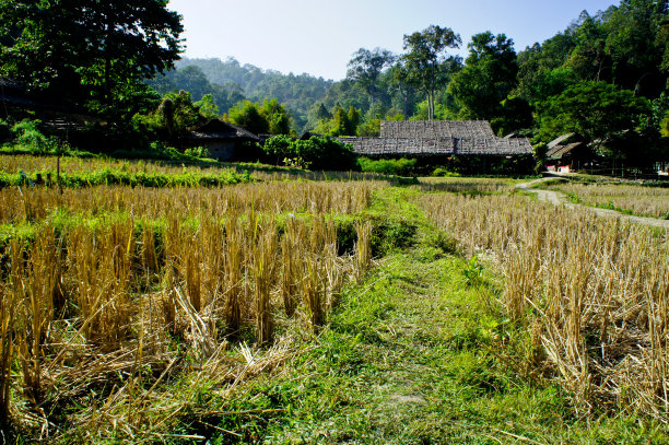 泰国北部的原始厨图片下载