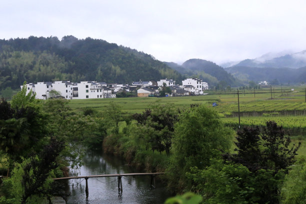 婺源08年图片下载