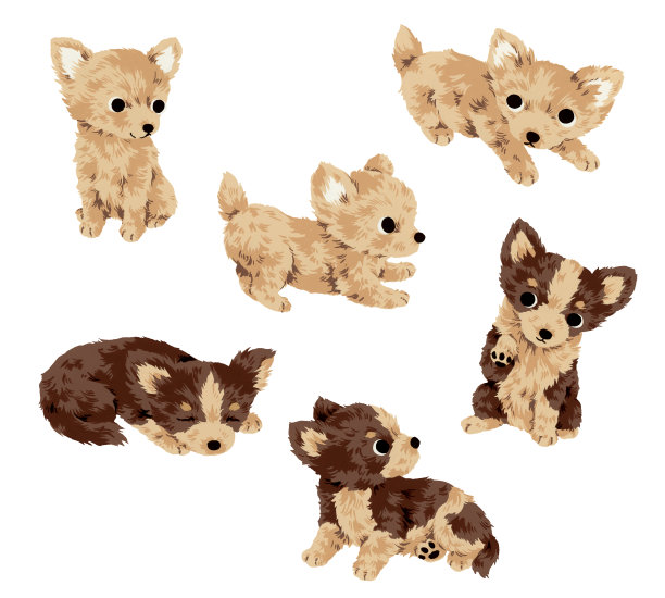 漂亮的狗图片下载