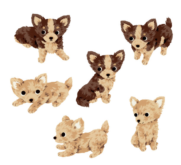 漂亮的狗图片下载