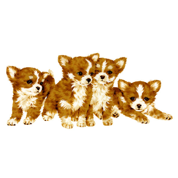 漂亮的狗图片下载