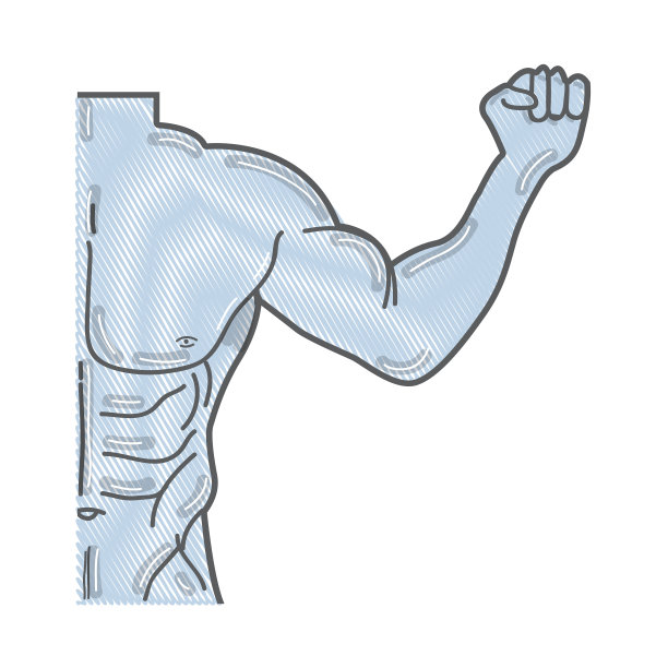 男人健美的身体图片下载