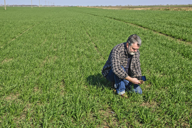 农民在田间图片下载