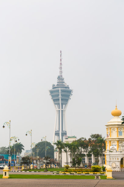 伴随着皮塔图片下载