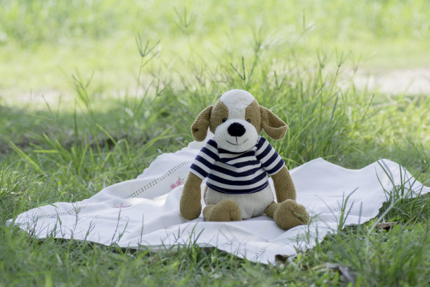 狗娃娃坐在花园里的织物上。图片下载