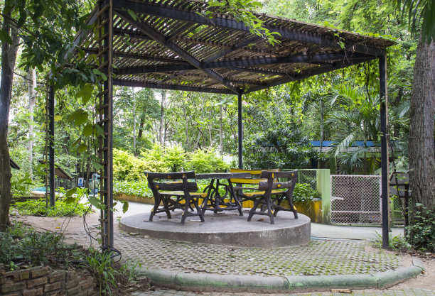 花园里的木椅图片下载