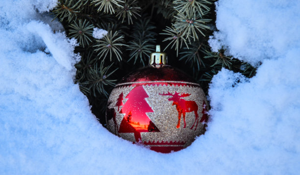 圣诞装饰在雪中图片下载