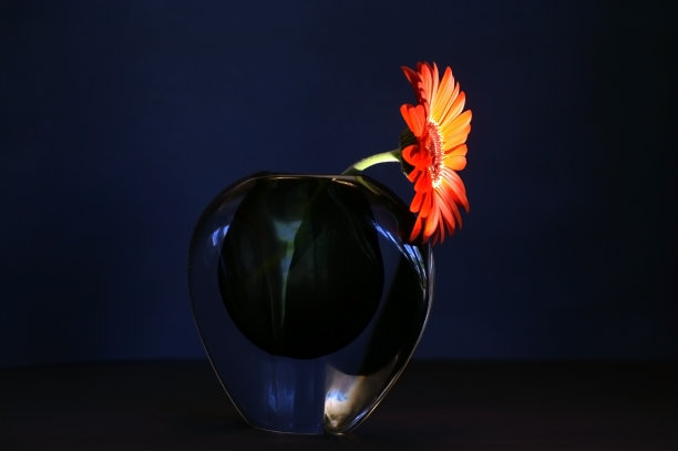 瓶中桔花图片下载