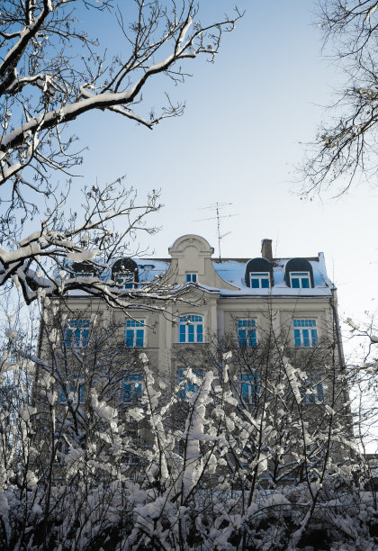 雪地里的传统欧洲建筑图片下载
