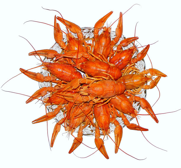 癌症煮图片下载