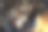 威尼斯狂欢节的羽毛面具图片下载