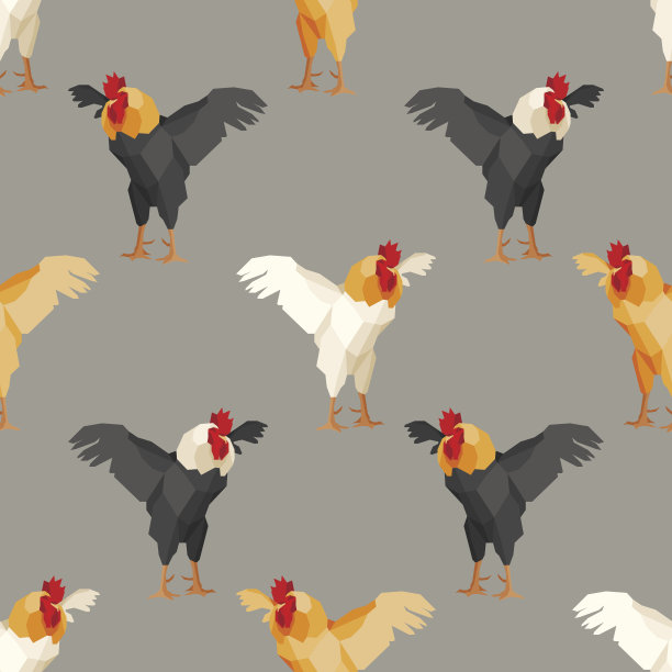 无缝模式与公鸡2图片下载