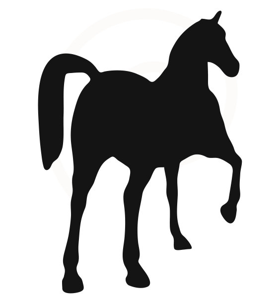 剪影在展示马的姿势图片下载