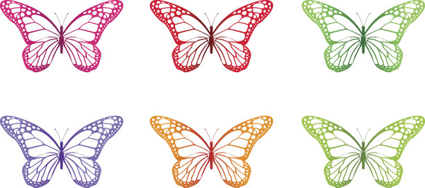 一套彩色蝴蝶孤立的春天素材图片