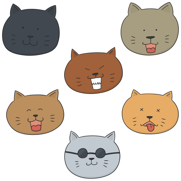 猫的脸图片下载