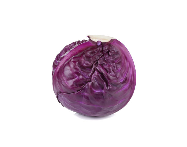 白色背景上的红色卷心菜图片下载