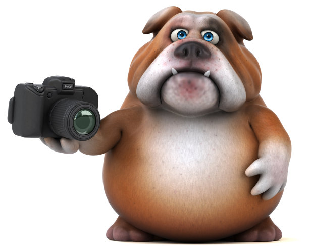 有趣的斗牛犬- 3D插图图片下载