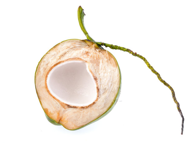 白色背景上孤立的绿色椰子图片下载