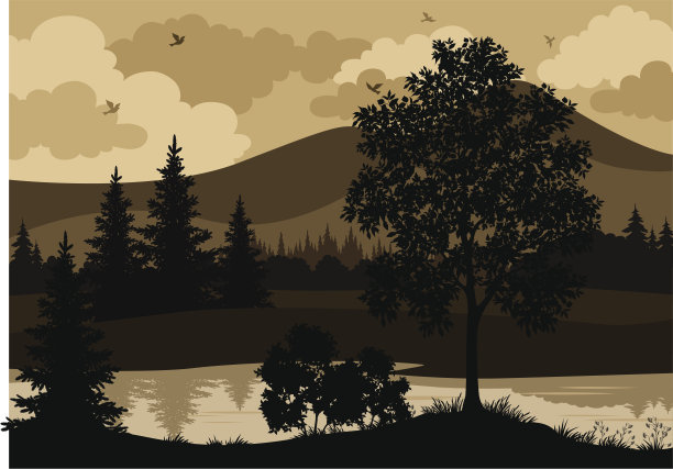 景观、树木、河流和鸟类剪影素材图片