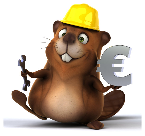 有趣的海狸图片下载