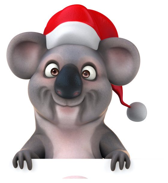 有趣的考拉图片下载