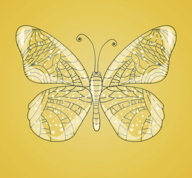 美丽的抽象的蝴蝶。图片下载