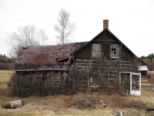 废弃的木房图片下载