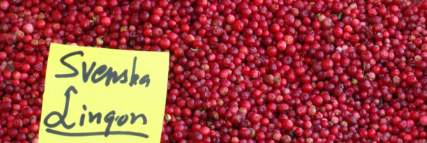 餐厅销售图片下载