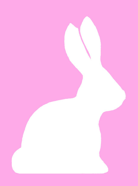 免兔子死亡图片下载