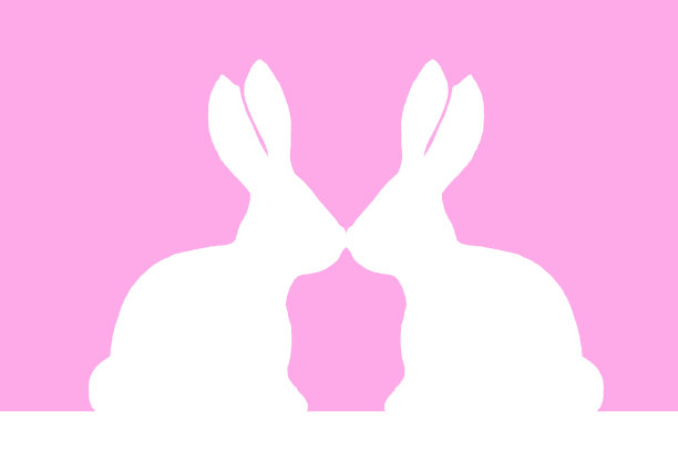 停下亲兔图片下载