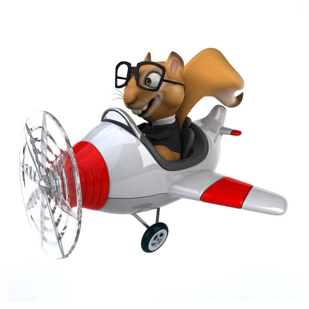 有趣的松鼠图片下载