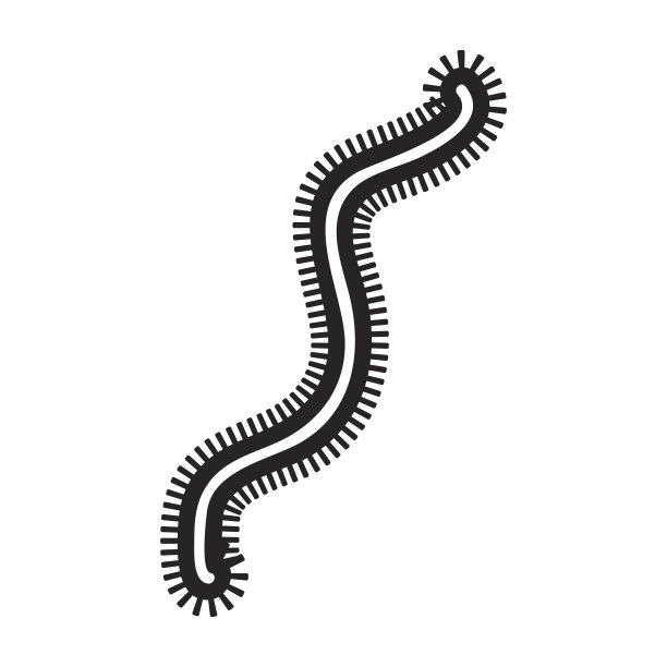 细菌细胞结构图标图片下载