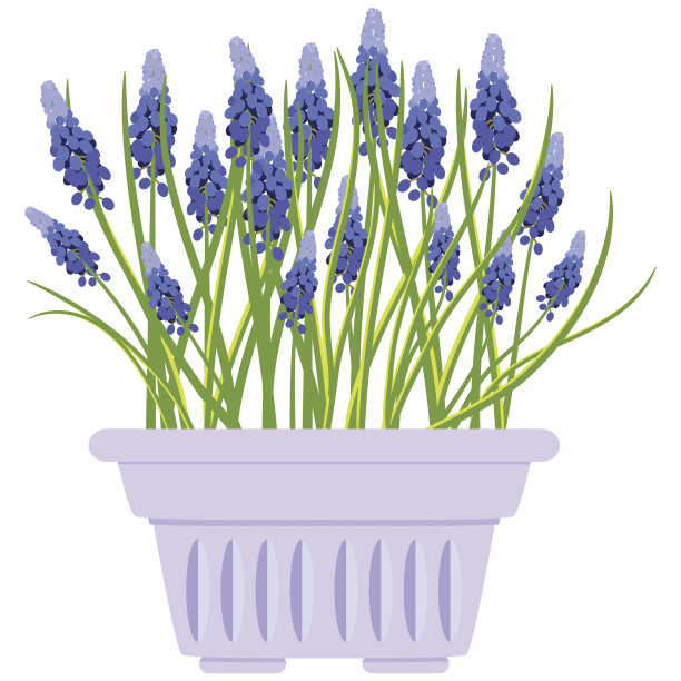 矢量插图与花盆在平面风格。图片下载