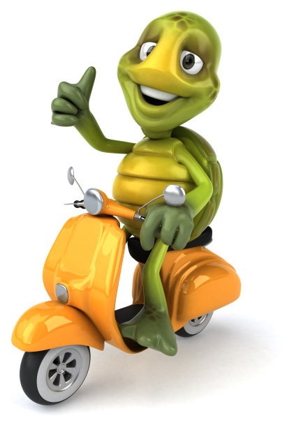 有趣的海龟图片下载